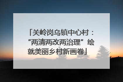 关岭岗乌镇中心村：“两清两改两治理”绘就美丽乡村新画卷