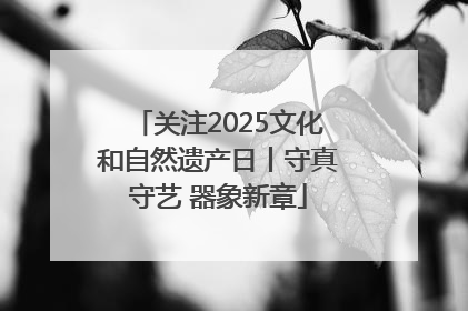 关注2025文化和自然遗产日丨守真守艺 器象新章