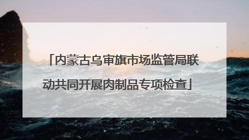 内蒙古乌审旗市场监管局联动共同开展肉制品专项检查