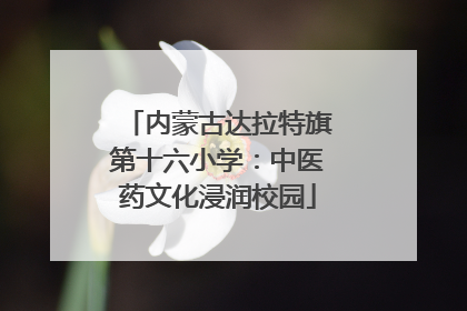 内蒙古达拉特旗第十六小学：中医药文化浸润校园