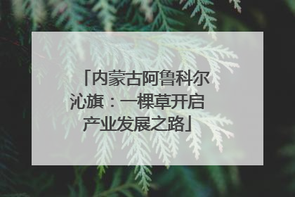 内蒙古阿鲁科尔沁旗：一棵草开启产业发展之路