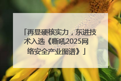再显硬核实力，东进技术入选《嘶吼2025网络安全产业图谱》