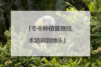 冬枣种植管理技术培训到地头