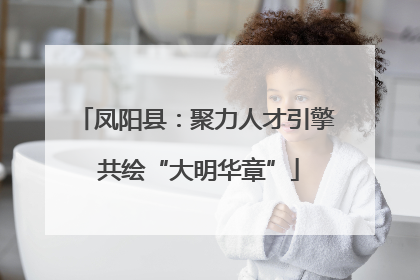 凤阳县：聚力人才引擎 共绘“大明华章”