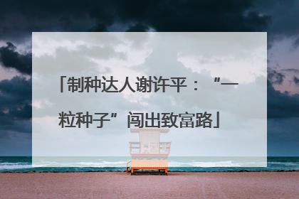 制种达人谢许平：“一粒种子”闯出致富路