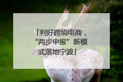 利好跨境电商，“两步申报”新模式落地宁波