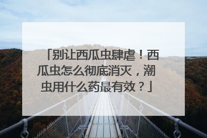 别让西瓜虫肆虐！西瓜虫怎么彻底消灭，潮虫用什么药最有效？