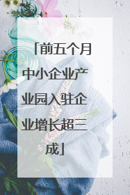 前五个月中小企业产业园入驻企业增长超三成