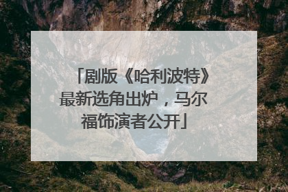 剧版《哈利波特》最新选角出炉，马尔福饰演者公开