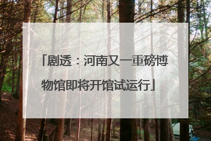剧透：河南又一重磅博物馆即将开馆试运行