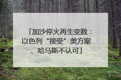 加沙停火再生变数：以色列“接受”美方案、哈马斯不认可