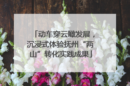 动车穿云瞰发展，沉浸式体验抚州“两山”转化实践成果