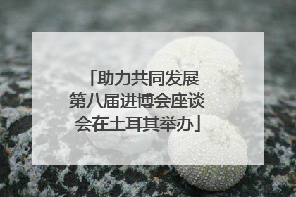 助力共同发展 第八届进博会座谈会在土耳其举办