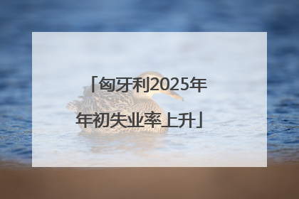 匈牙利2025年年初失业率上升