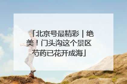 北京号最精彩｜绝美！门头沟这个景区芍药已花开成海