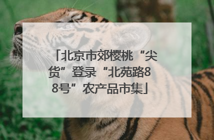 北京市郊樱桃“尖货”登录“北苑路88号”农产品市集