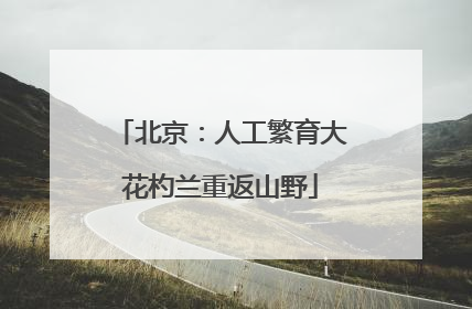北京：人工繁育大花杓兰重返山野