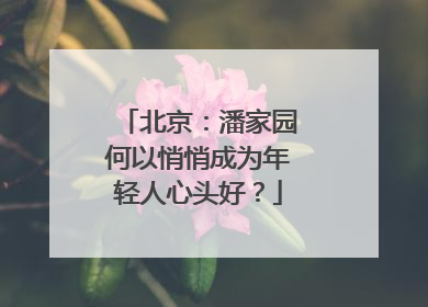 北京：潘家园何以悄悄成为年轻人心头好？
