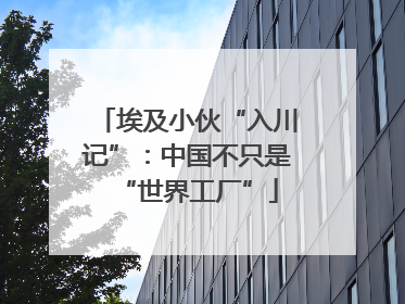 埃及小伙“入川记”：中国不只是“世界工厂”