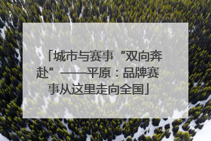 城市与赛事“双向奔赴”——平原：品牌赛事从这里走向全国