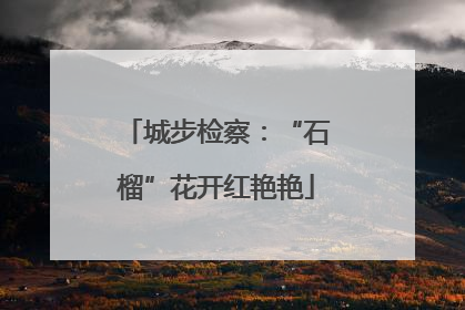 城步检察：“石榴”花开红艳艳