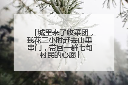 城里来了收菜团，我花三小时赶去山里串门，带回一群七旬村民的心愿
