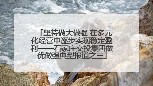 坚持做大做强 在多元化经营中逐步实现稳定盈利——石家庄交投集团做优做强典型报道之三