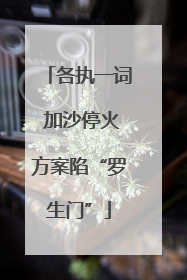 各执一词 加沙停火方案陷“罗生门”