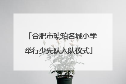合肥市琥珀名城小学举行少先队入队仪式