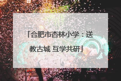 合肥市杏林小学：送教古城 互学共研