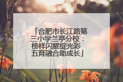 合肥市长江路第三小学兰亭分校：榜样闪耀绽光彩 五育融合助成长