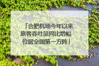 合肥机场今年以来旅客吞吐量同比增幅位居全国第一方阵