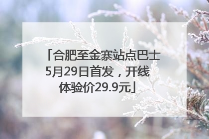 合肥至金寨站点巴士5月29日首发，开线体验价29.9元