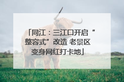 同江：三江口开启“整容式”改造 老景区变身网红打卡地