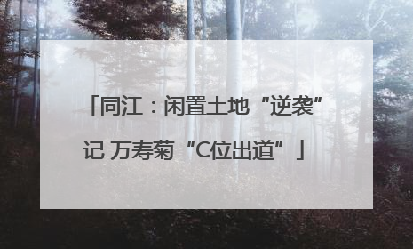 同江：闲置土地“逆袭”记 万寿菊“C位出道”