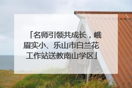 名师引领共成长，峨眉实小、乐山市白兰花工作站送教南山学区