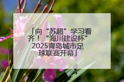 向“苏超”学习看齐！“海川建设杯”2025青岛城市足球联赛开幕