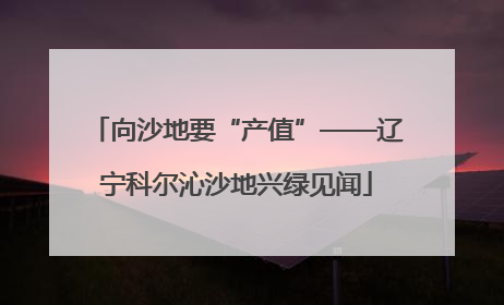 向沙地要“产值”——辽宁科尔沁沙地兴绿见闻
