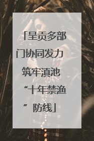 呈贡多部门协同发力 筑牢滇池“十年禁渔”防线