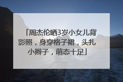 周杰伦晒3岁小女儿背影照，身穿格子裙，头扎小辫子，萌态十足