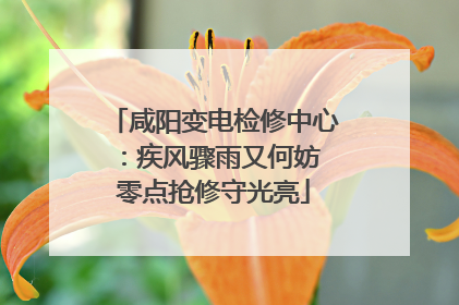 咸阳变电检修中心：疾风骤雨又何妨 零点抢修守光亮