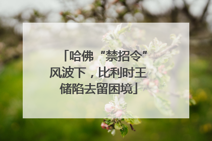 哈佛“禁招令”风波下，比利时王储陷去留困境