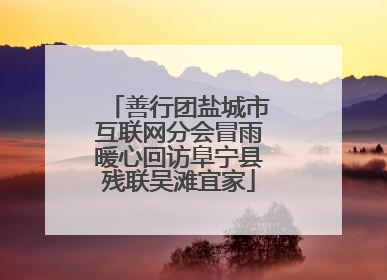 善行团盐城市互联网分会冒雨暖心回访阜宁县残联吴滩宜家