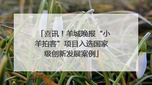 喜讯！羊城晚报“小羊拍客”项目入选国家级创新发展案例
