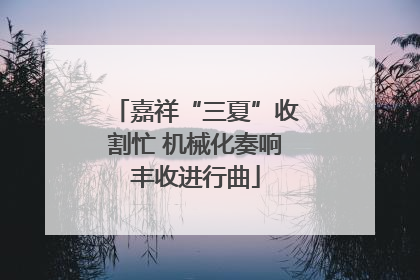 嘉祥“三夏”收割忙 机械化奏响丰收进行曲