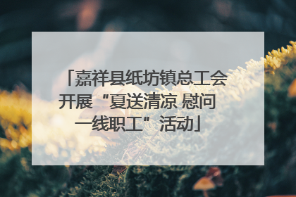 嘉祥县纸坊镇总工会开展“夏送清凉 慰问一线职工”活动