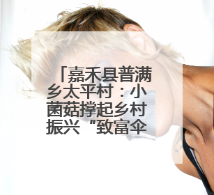 嘉禾县普满乡太平村：小菌菇撑起乡村振兴“致富伞”