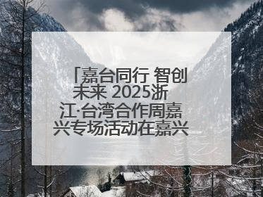 嘉台同行 智创未来 2025浙江·台湾合作周嘉兴专场活动在嘉兴经开区启幕