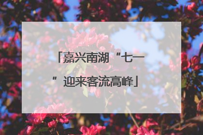 嘉兴南湖“七一”迎来客流高峰