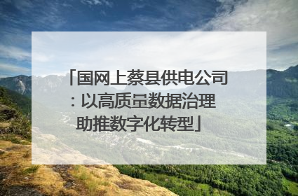 国网上蔡县供电公司：以高质量数据治理 助推数字化转型